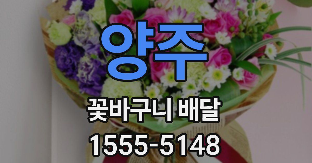 양주 꽃바구니 배달