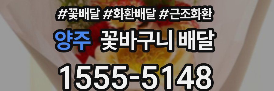 양주 꽃바구니 배달