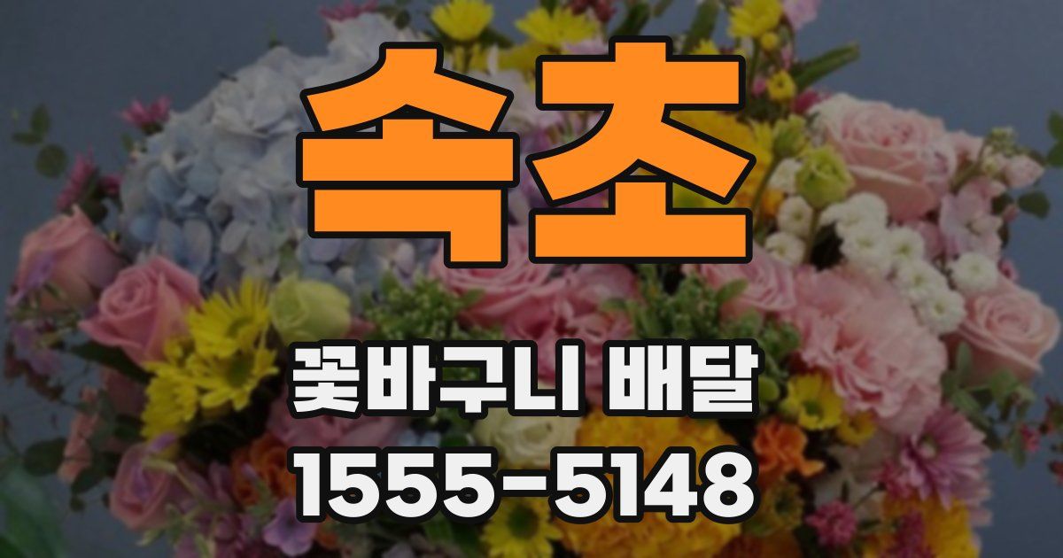 속초 꽃바구니 배달