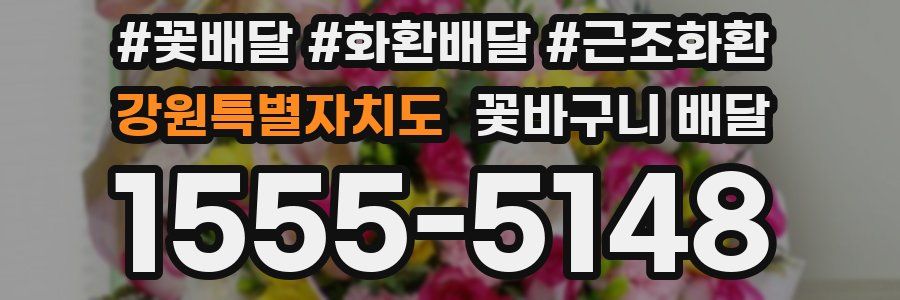 강원특별자치도 꽃바구니 배달