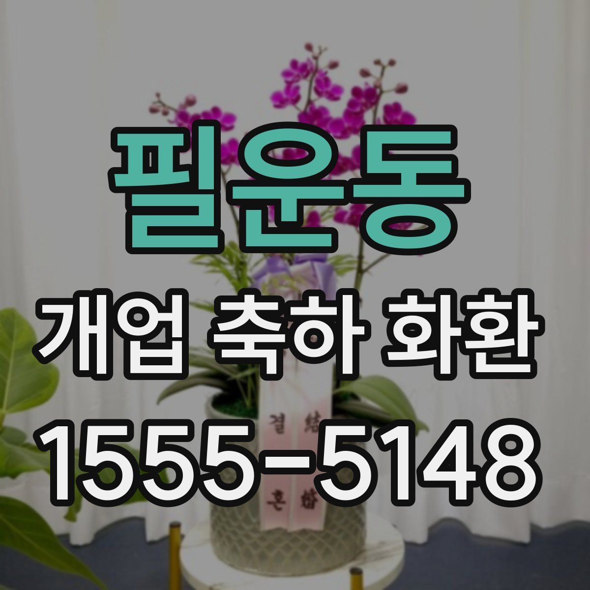 필운동 개업 축하 화환
