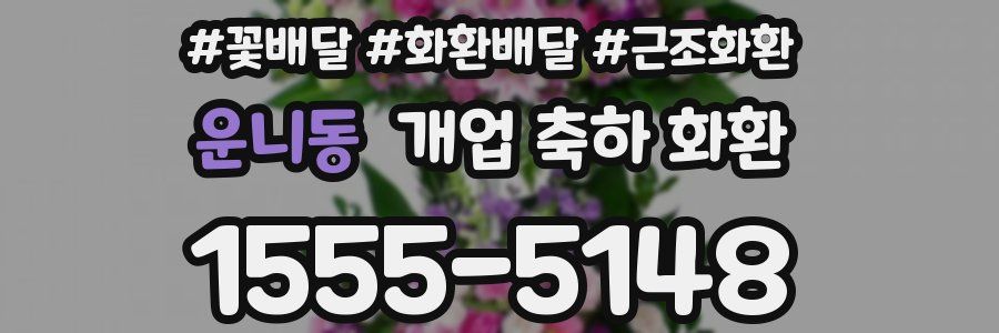 운니동 개업 축하 화환