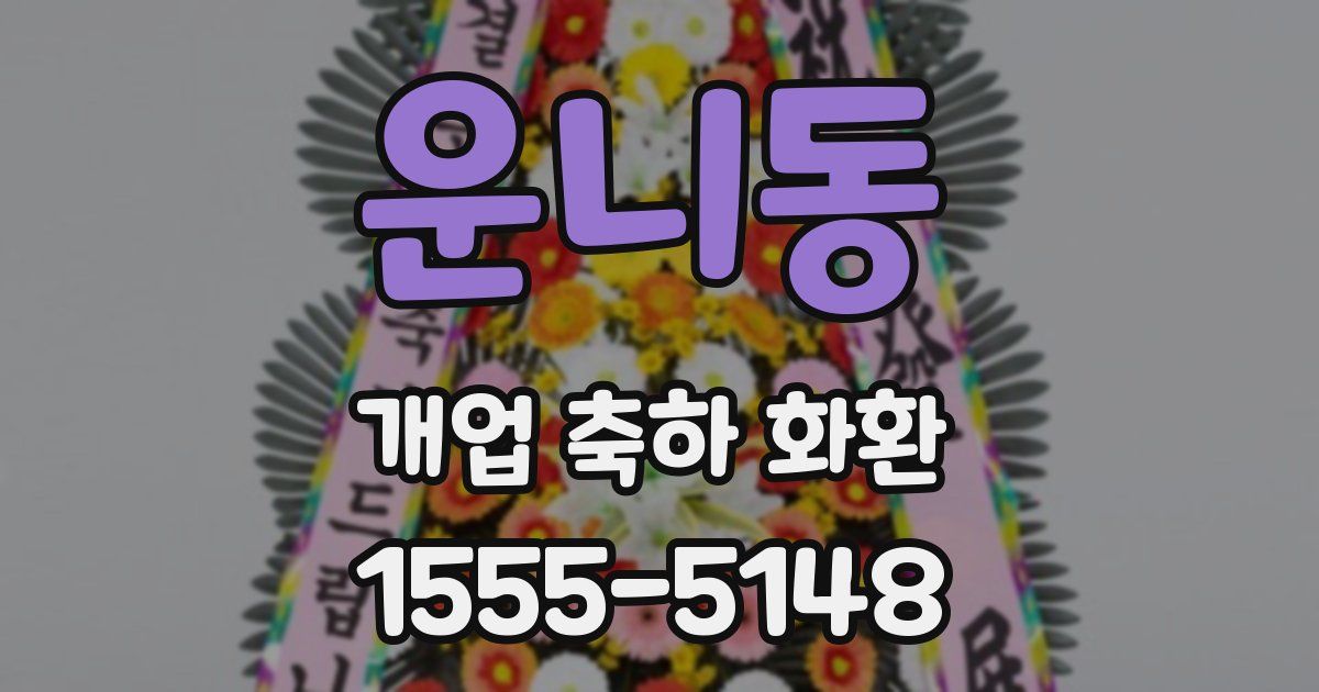 운니동 개업 축하 화환
