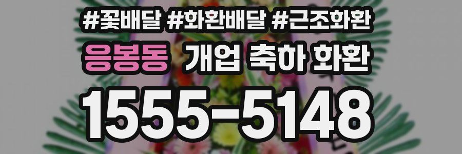 응봉동 개업 축하 화환