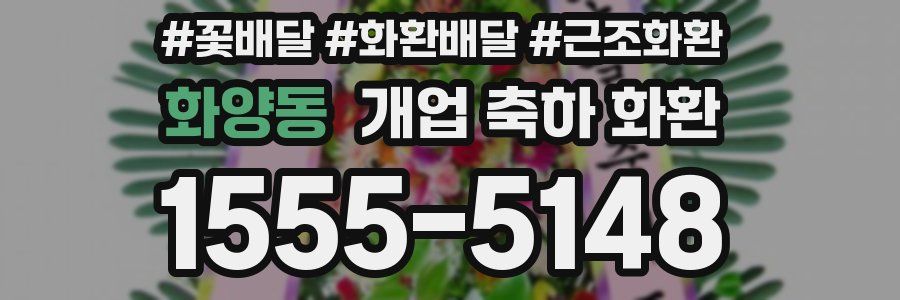 화양동 개업 축하 화환