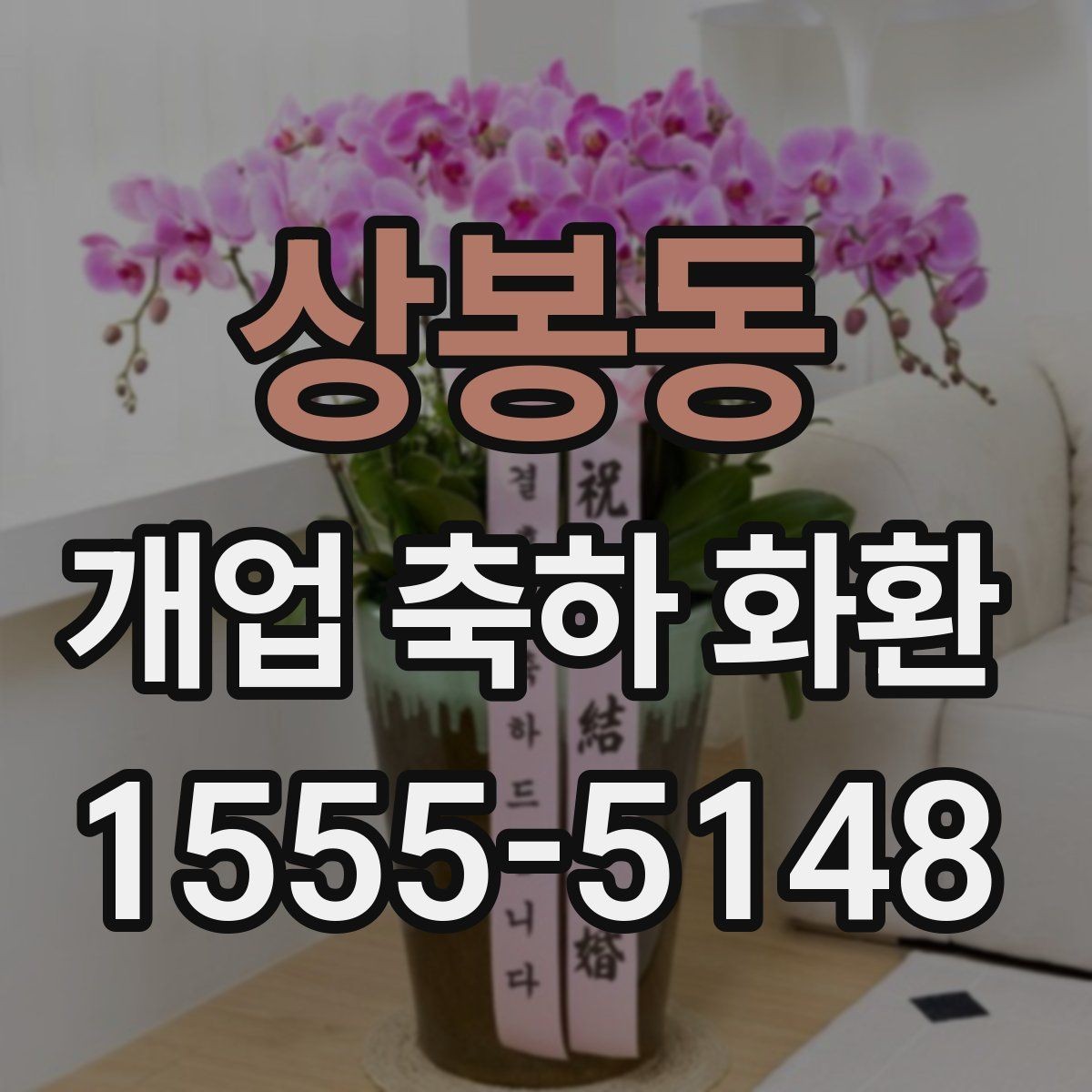 상봉동 개업 축하 화환 창업 축하에 어울리는 구성