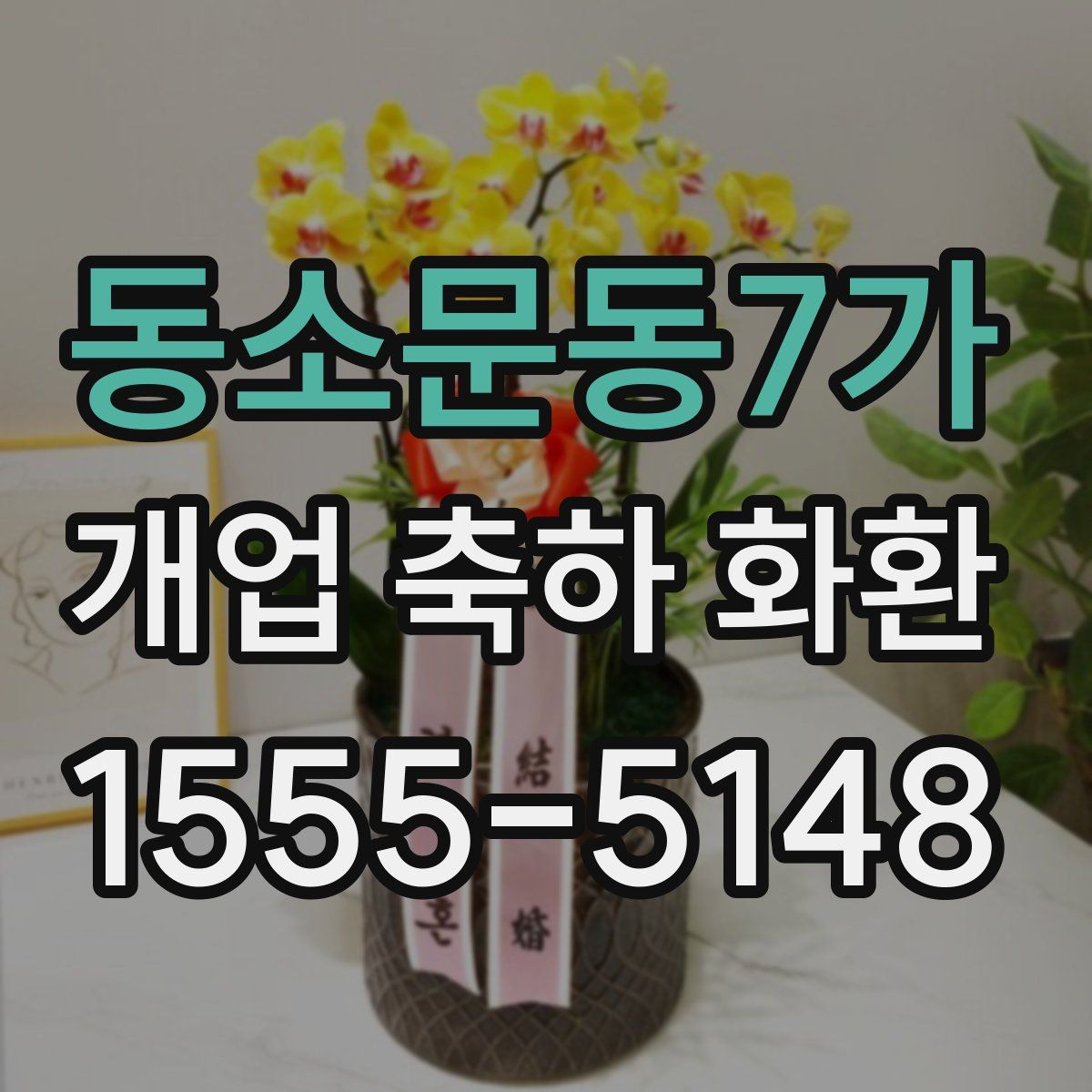동소문동7가 개업 축하 화환