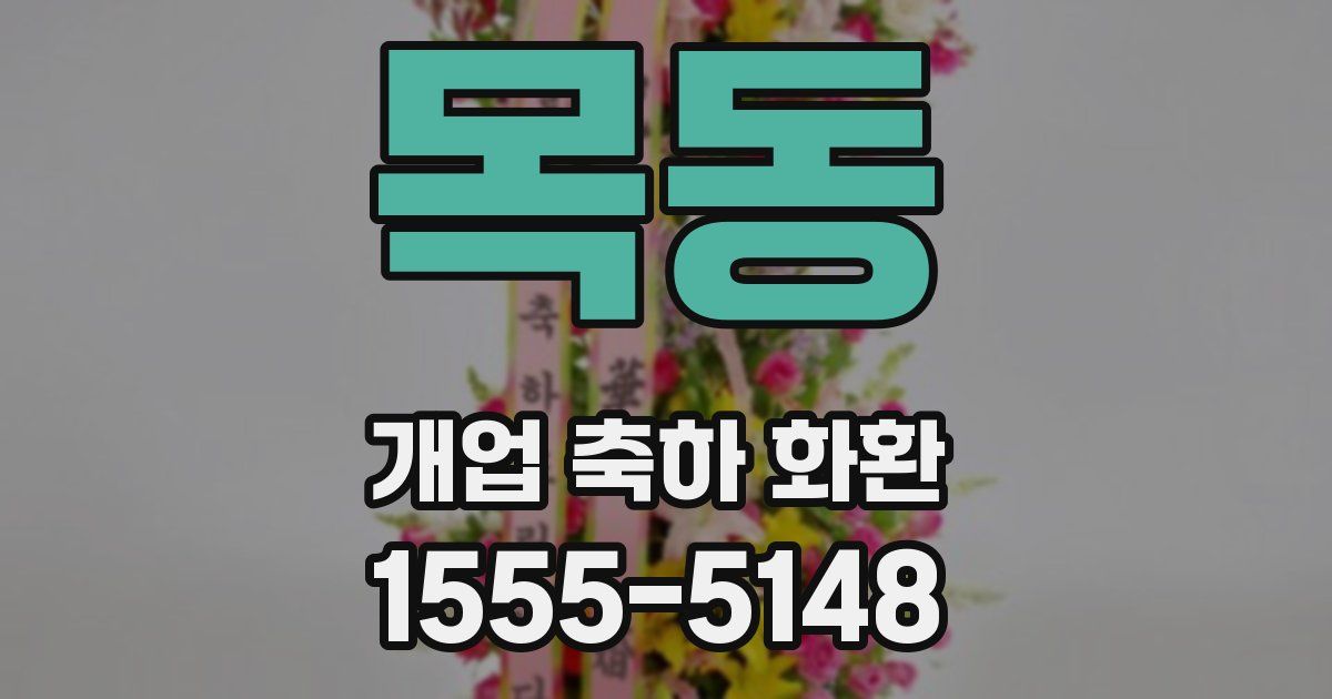 목동 개업 축하 화환