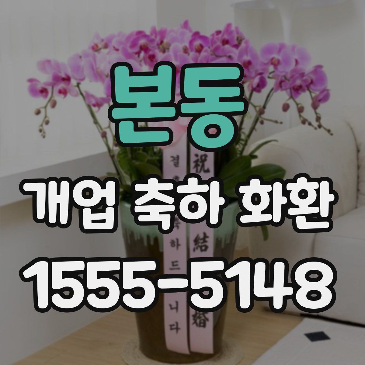 본동 개업 축하 화환