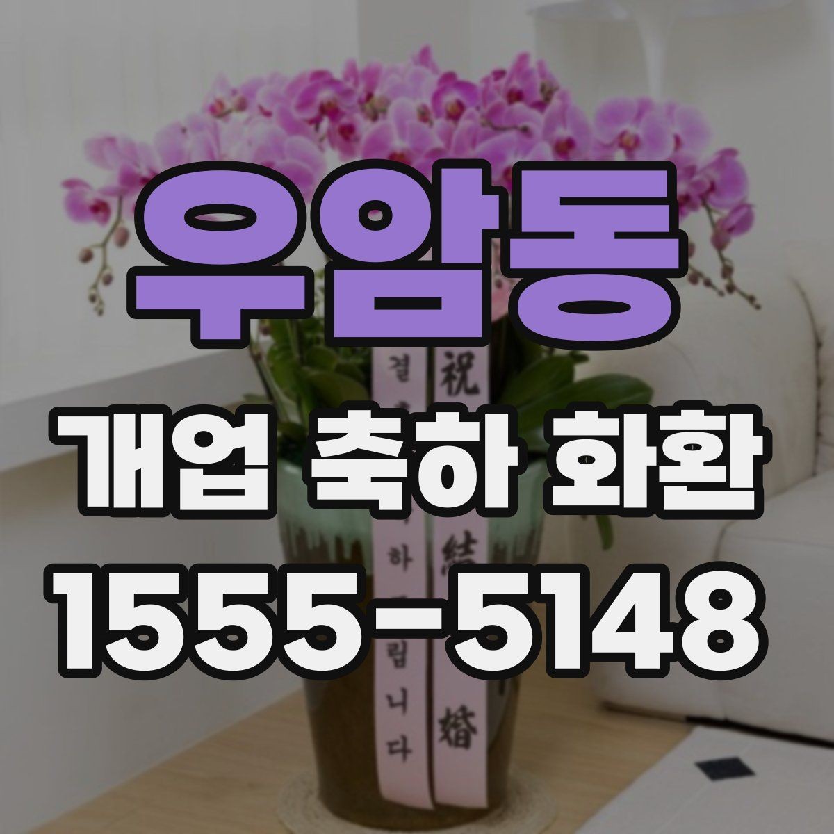 우암동 개업 축하 화환 가격대별 구성 살펴보기