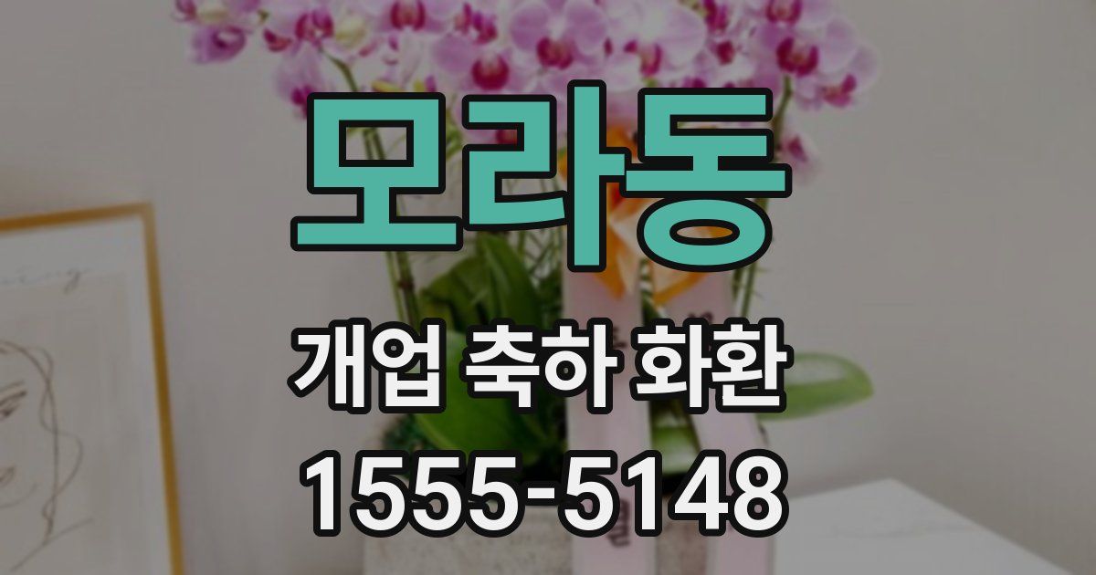 모라동 개업 축하 화환