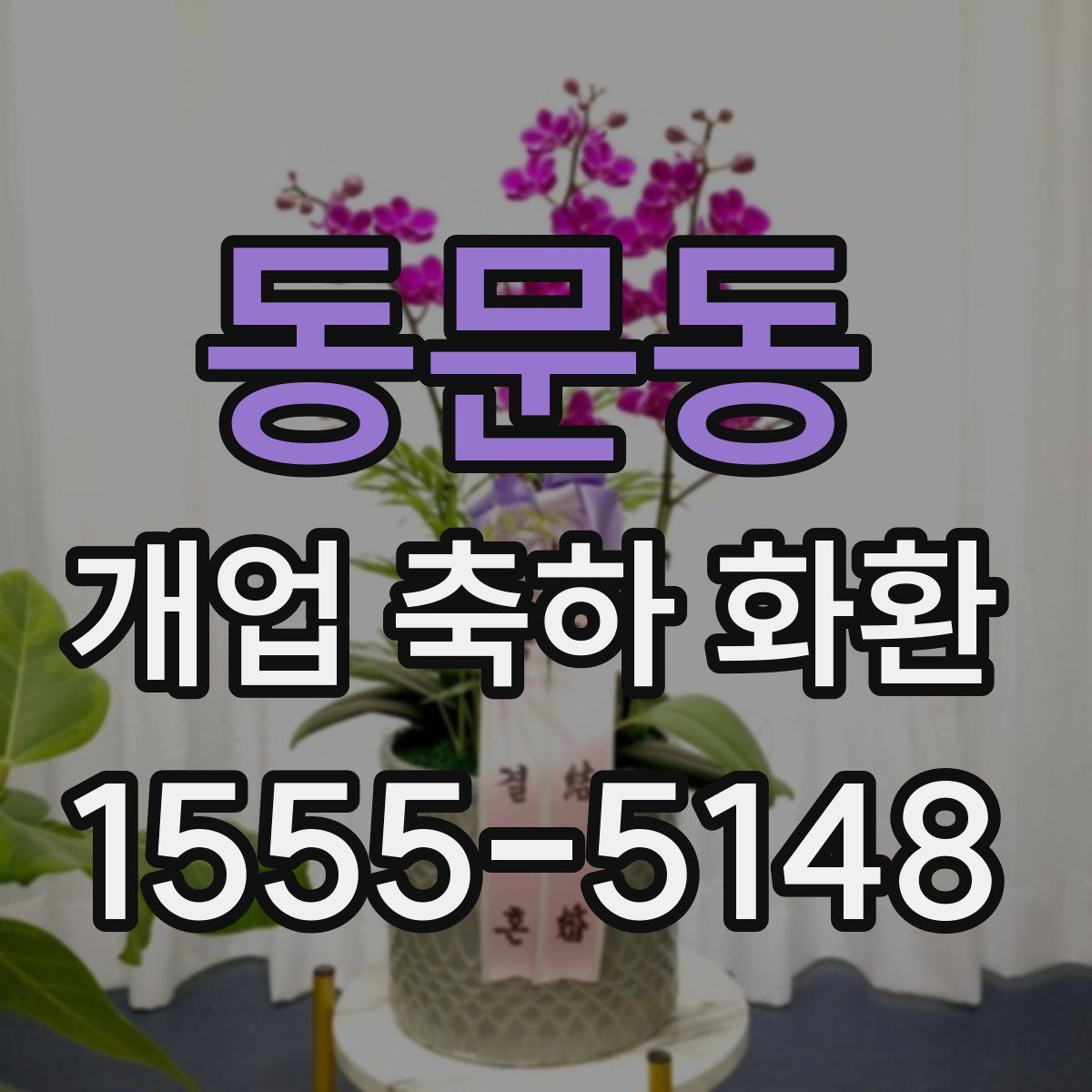 동문동 개업 축하 화환