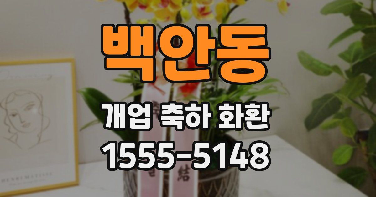 백안동 개업 축하 화환