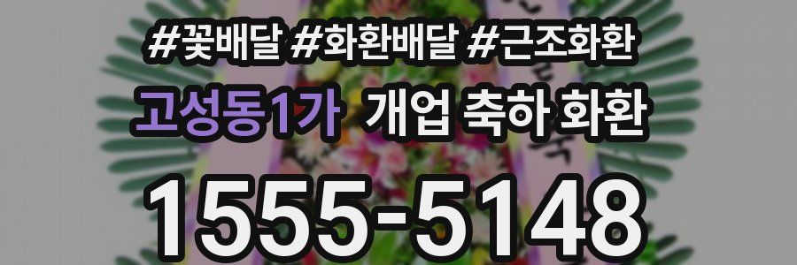 고성동1가 개업 축하 화환