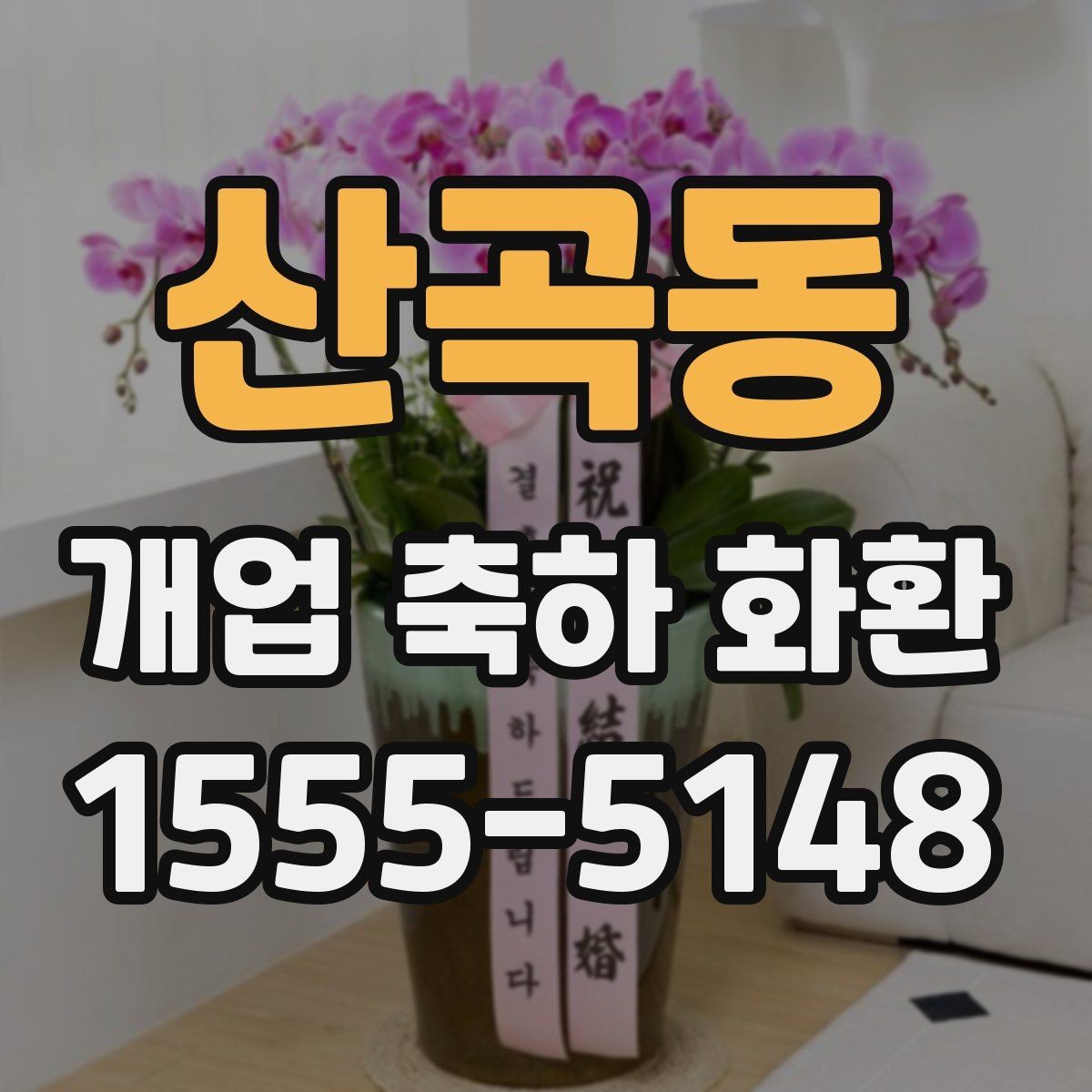 산곡동 개업 축하 화환 축하 분위기 살리는 디자인