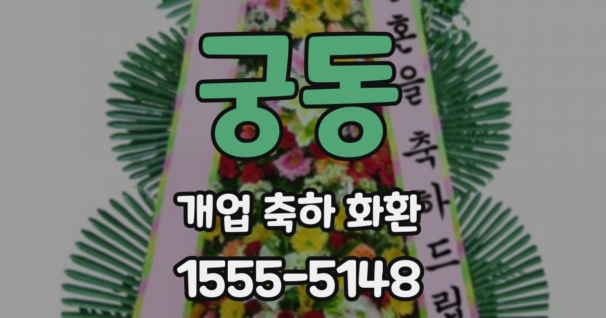 궁동 개업 축하 화환