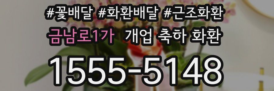 금남로1가 개업 축하 화환