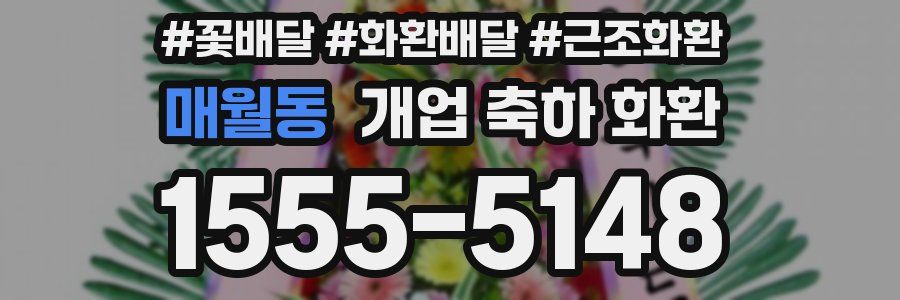매월동 개업 축하 화환
