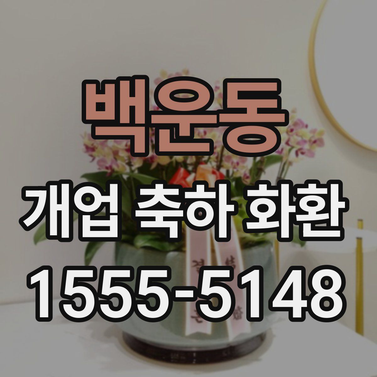 백운동 개업 축하 화환
