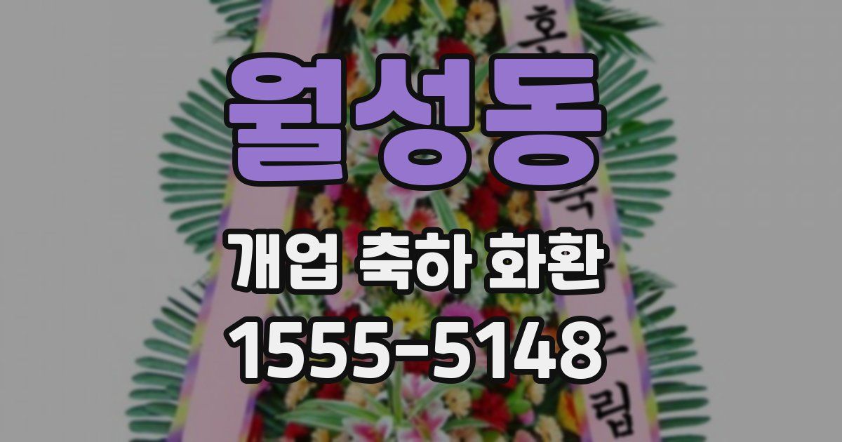 월성동 개업 축하 화환