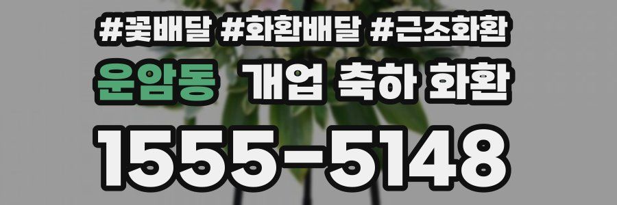운암동 개업 축하 화환