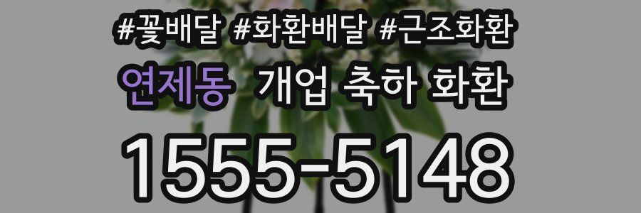 연제동 개업 축하 화환