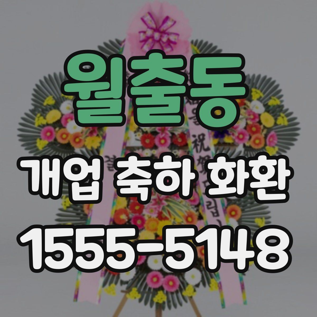월출동 개업 축하 화환 적절한 문구 찾기 기준