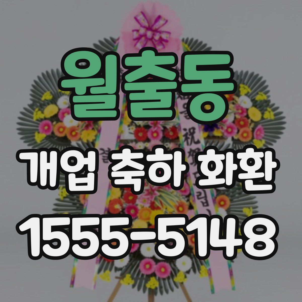 월출동 개업 축하 화환