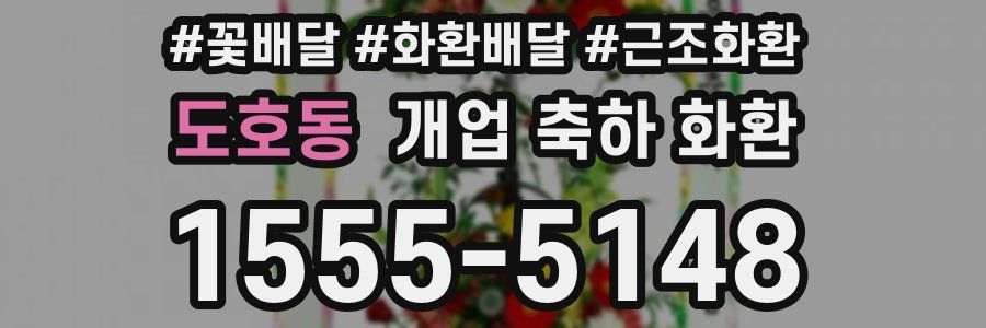 도호동 개업 축하 화환