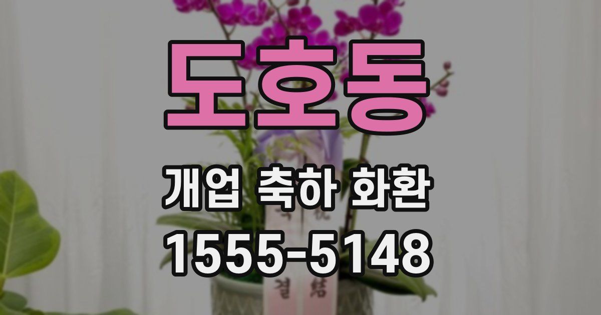 도호동 개업 축하 화환