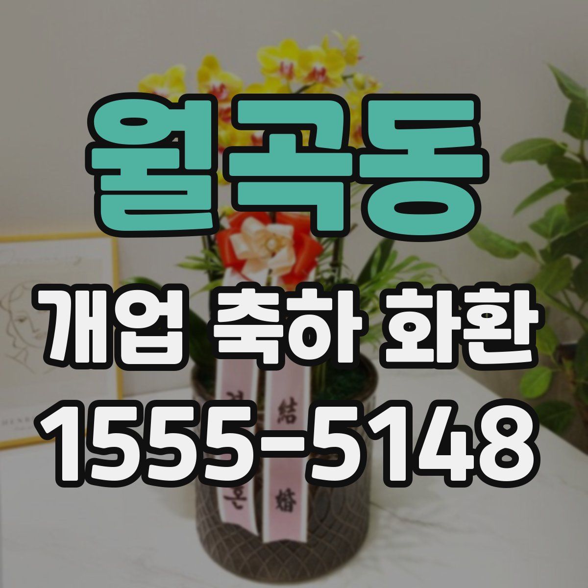 월곡동 개업 축하 화환