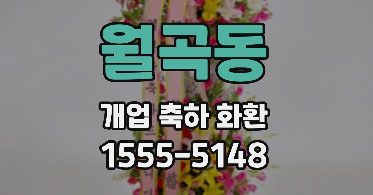 월곡동 개업 축하 화환