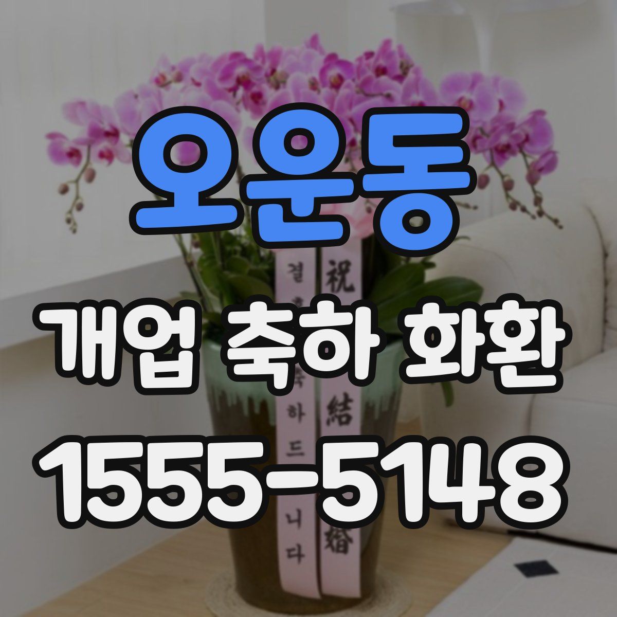 오운동 개업 축하 화환