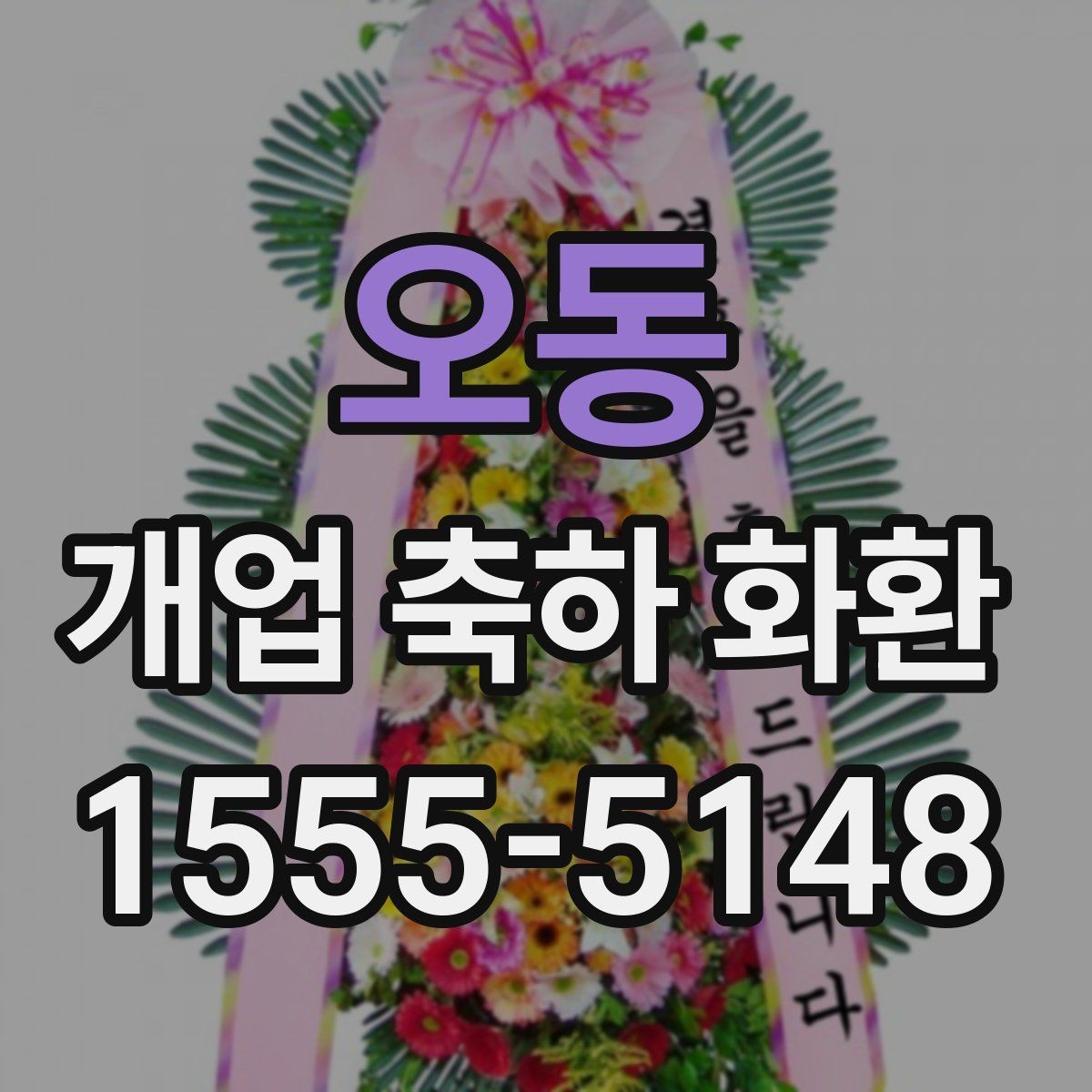오동 개업 축하 화환 시즌별 인기 스타일