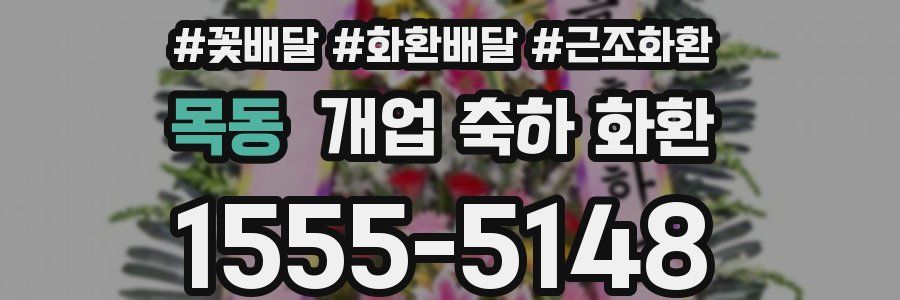 목동 개업 축하 화환