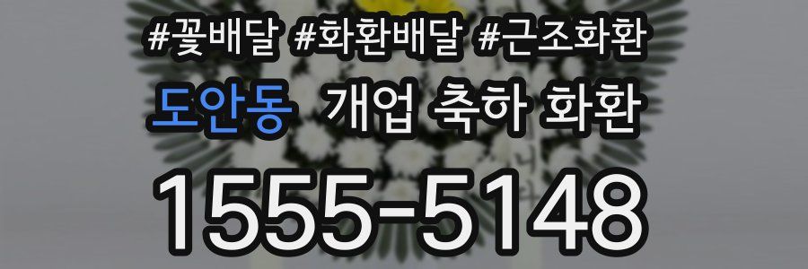 도안동 개업 축하 화환