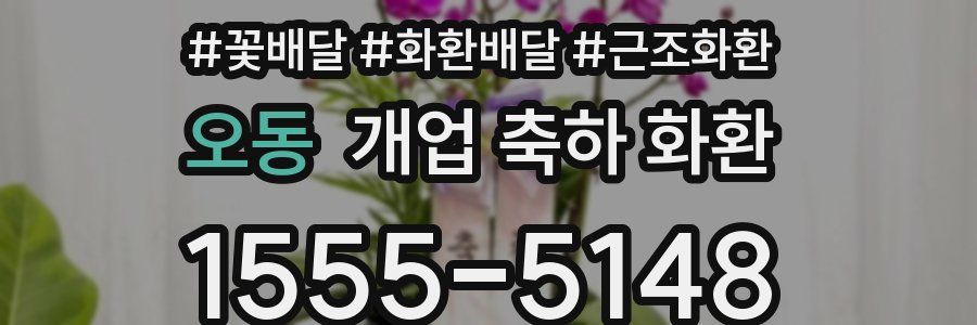 오동 개업 축하 화환