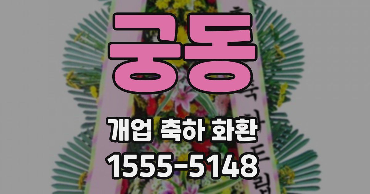 궁동 개업 축하 화환