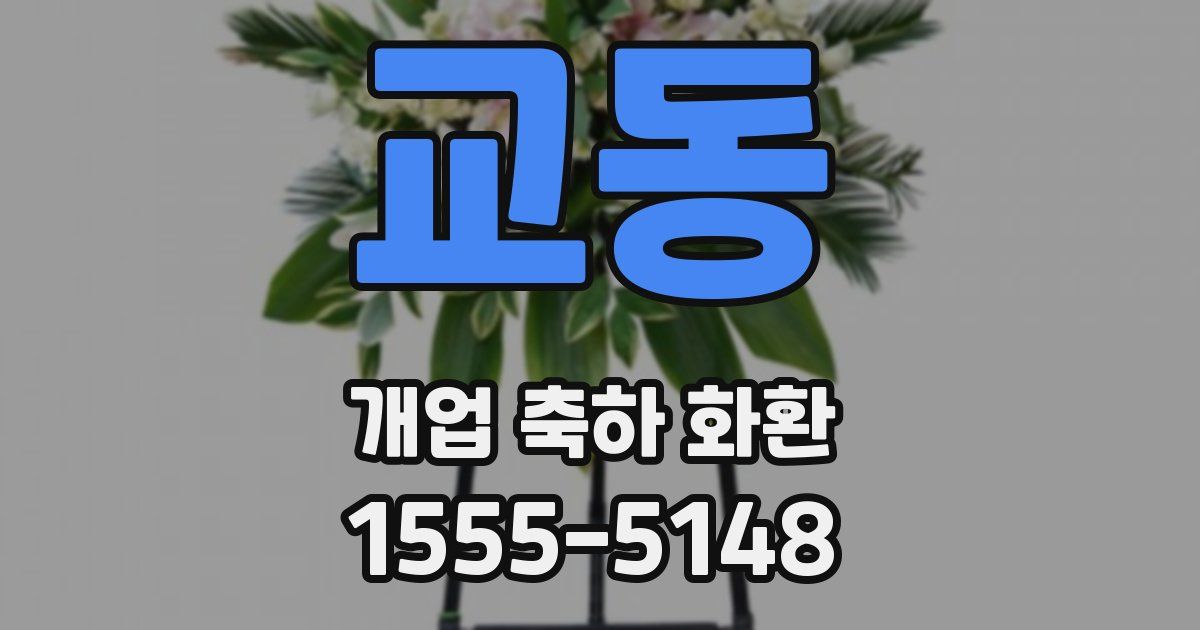 교동 개업 축하 화환