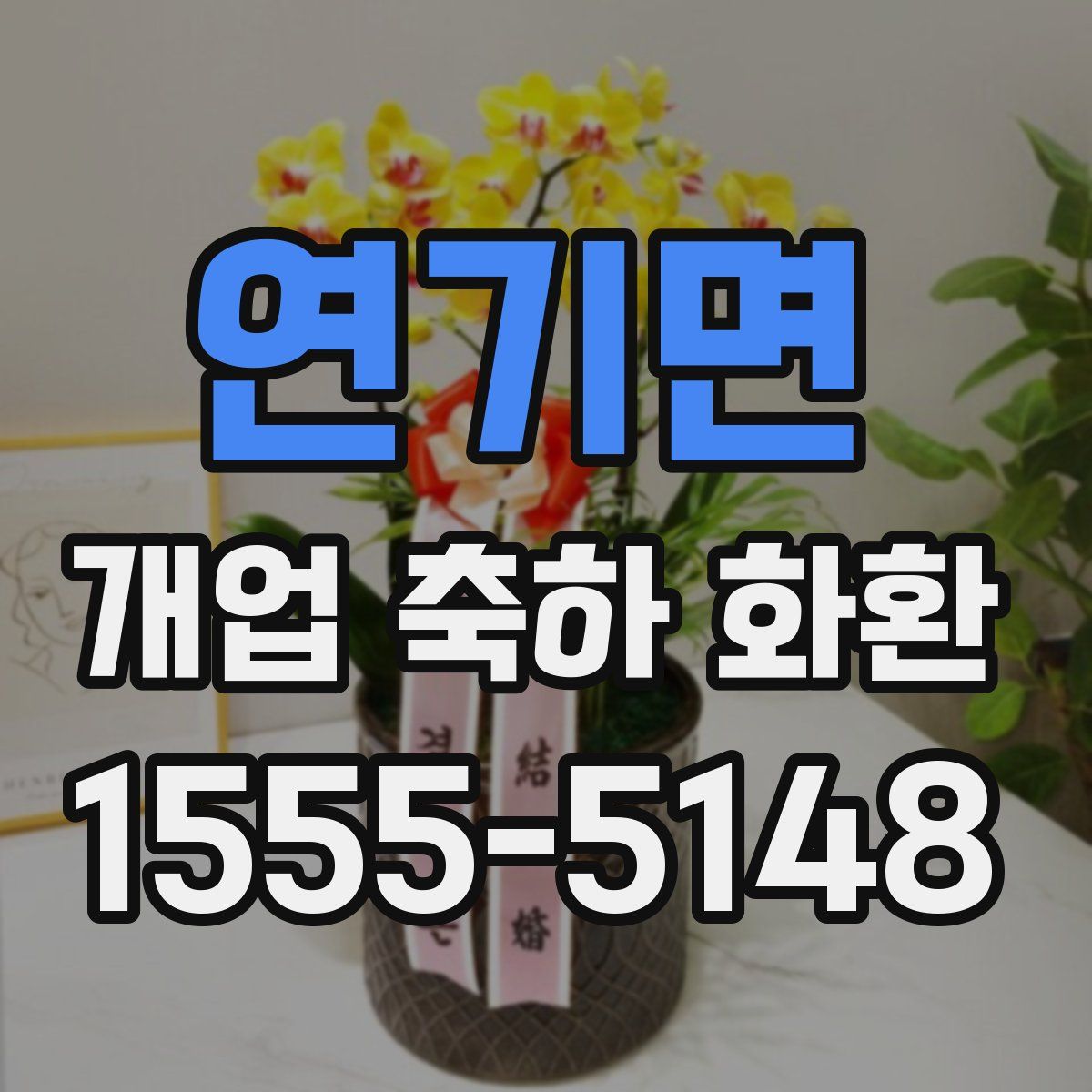 연기면 개업 축하 화환