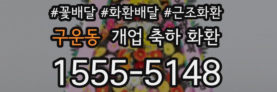 구운동 개업 축하 화환