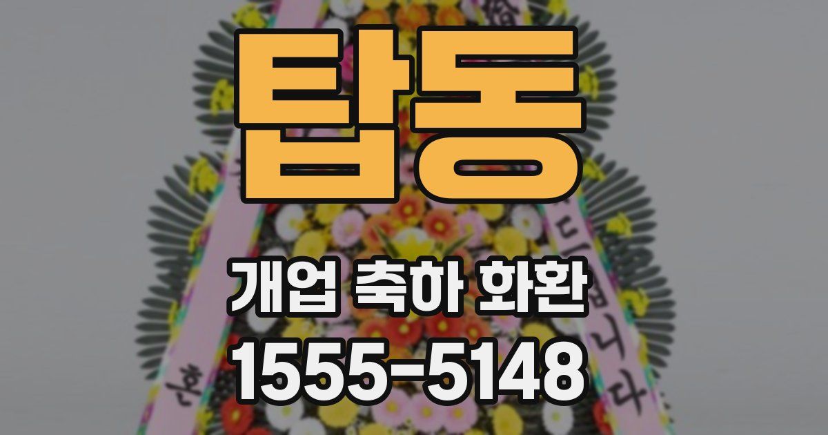탑동 개업 축하 화환