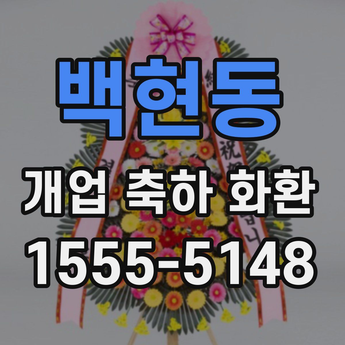 백현동 개업 축하 화환