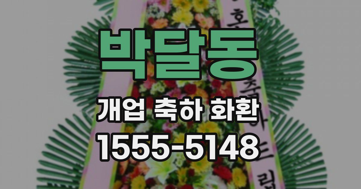 박달동 개업 축하 화환