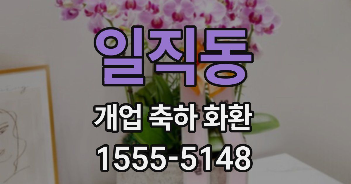 일직동 개업 축하 화환