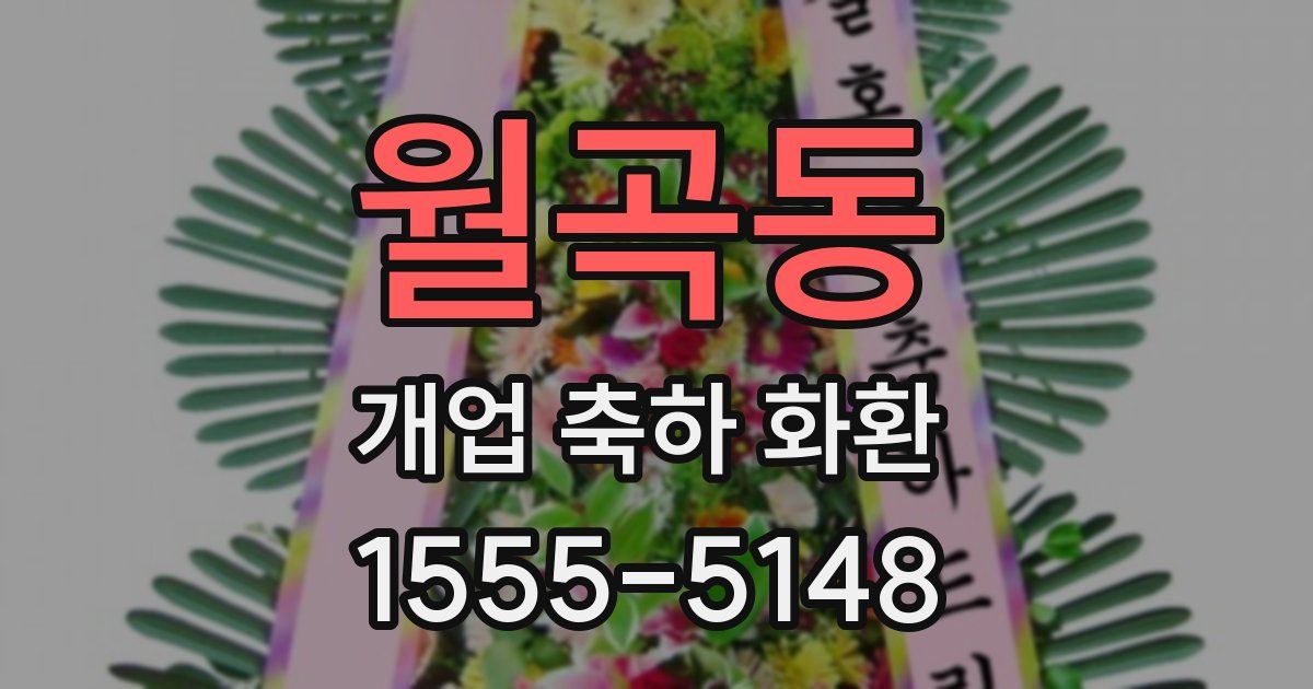 월곡동 개업 축하 화환