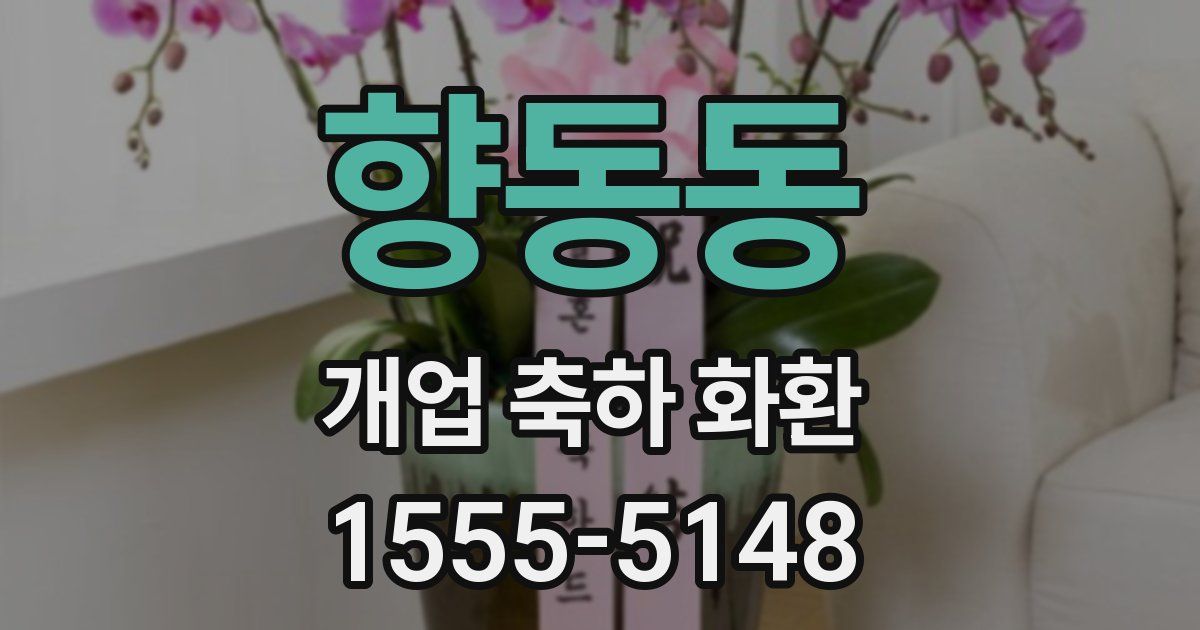 향동동 개업 축하 화환