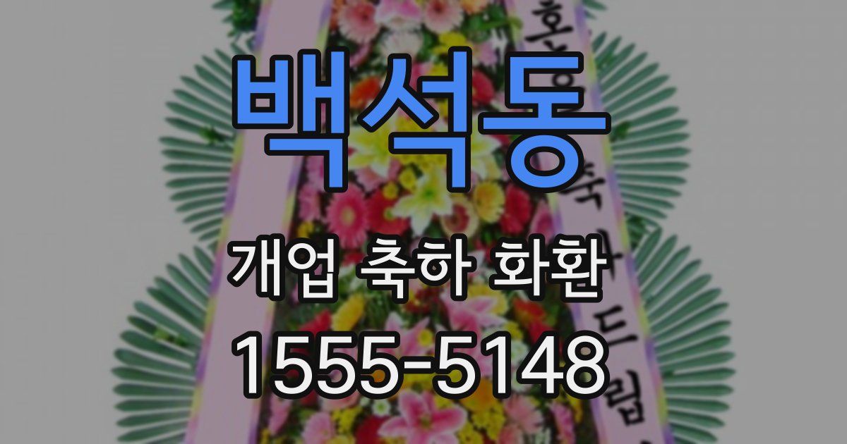 백석동 개업 축하 화환