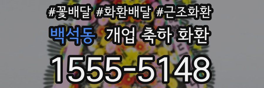 백석동 개업 축하 화환