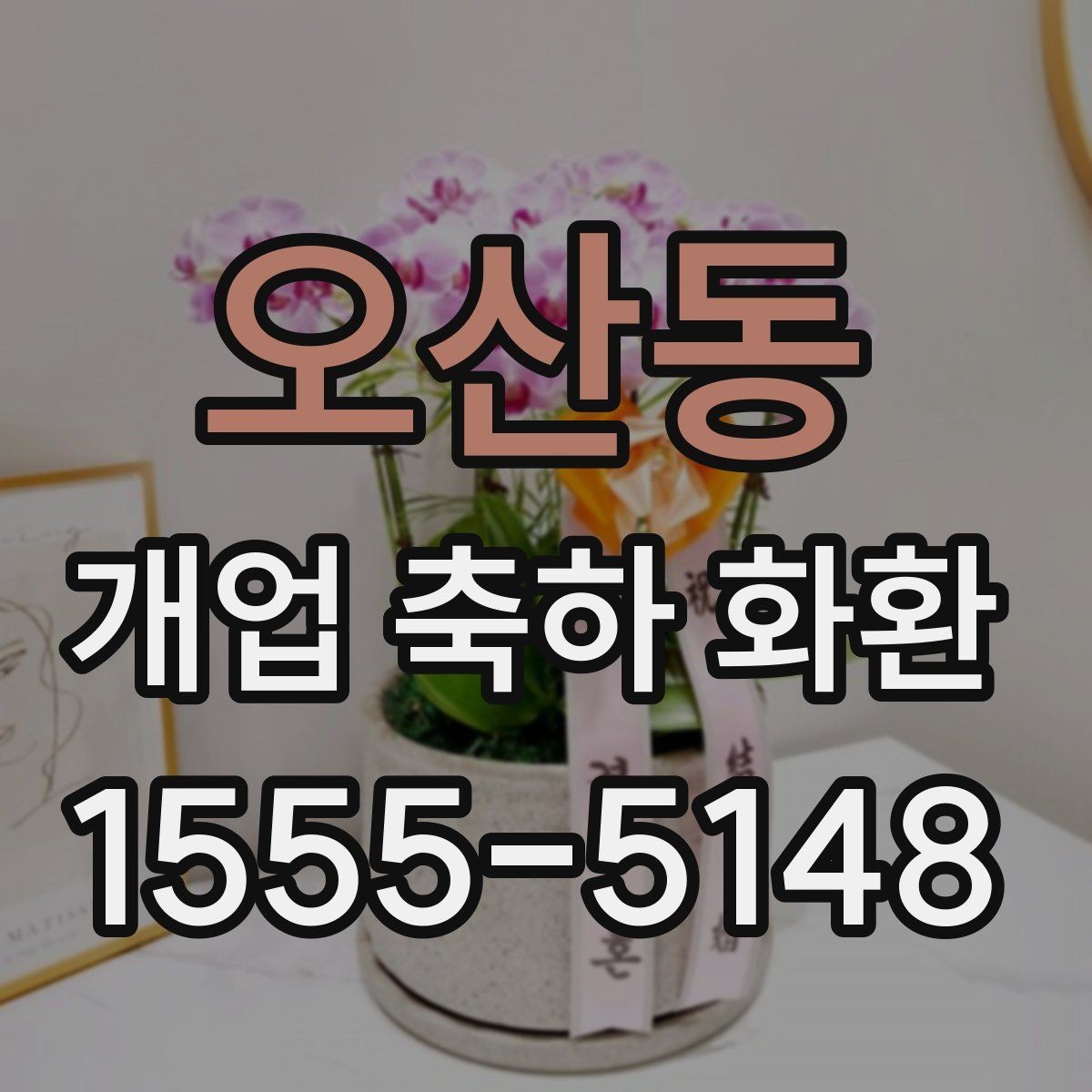 오산동 개업 축하 화환 소규모 매장에 어울리는 선택